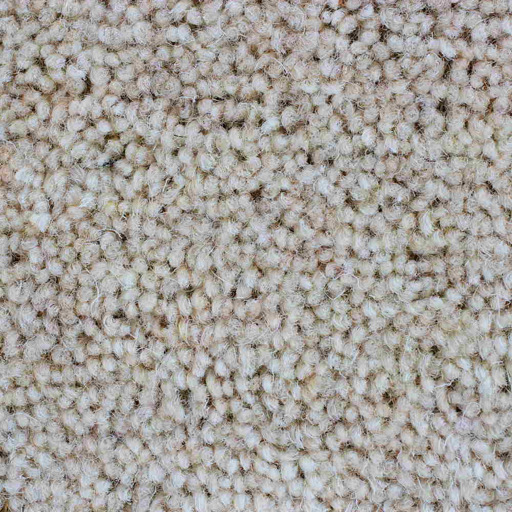 CFS Kensington 50oz Carpet | TradeChoice Carpet & Flooring