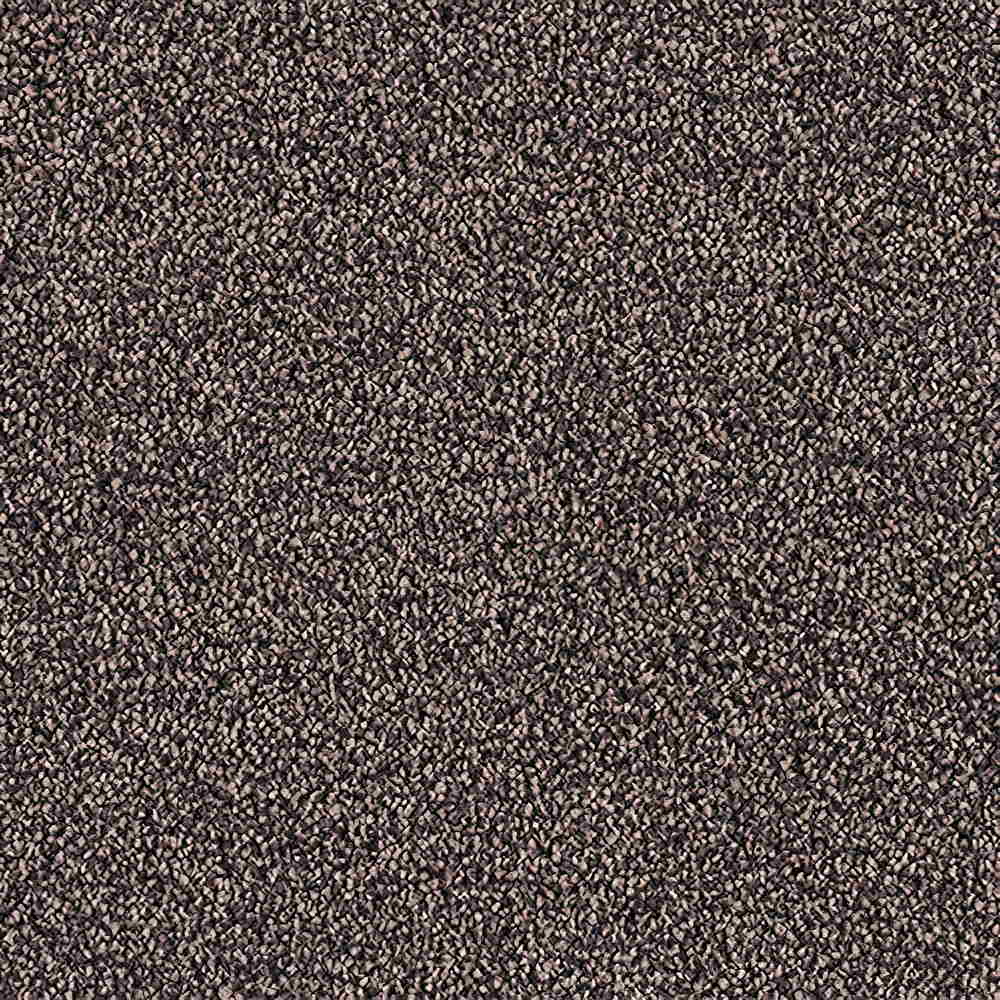 CFS Scala Twist Carpet TradeChoice Carpet & Flooring