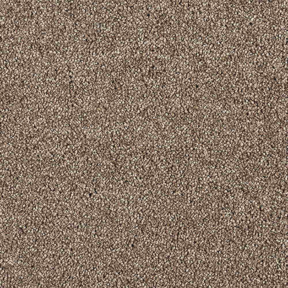 CFS Scala Twist Carpet TradeChoice Carpet & Flooring