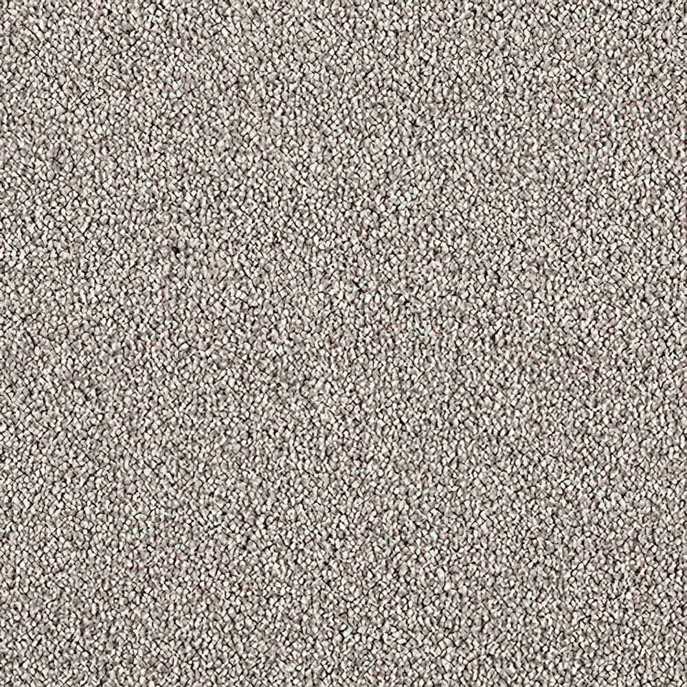 CFS Scala Twist Carpet TradeChoice Carpet & Flooring