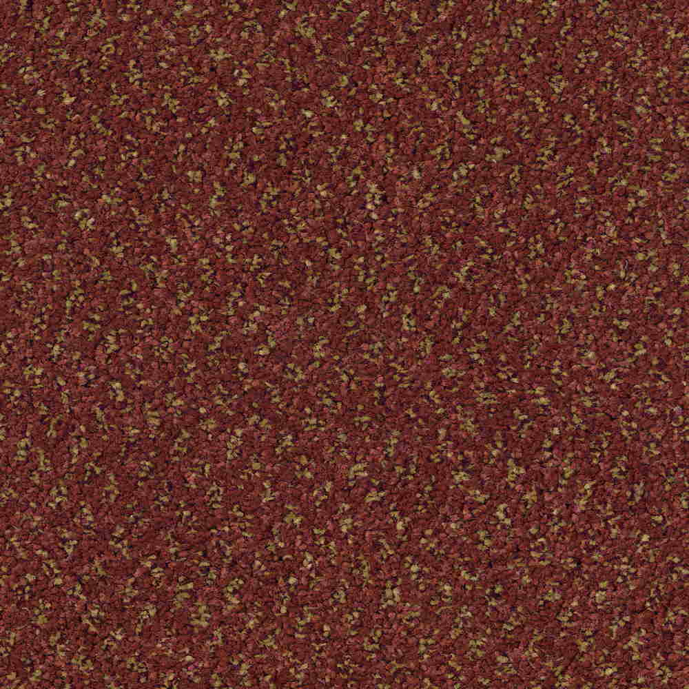 CFS Superior Care Carpet TradeChoice Carpet & Flooring