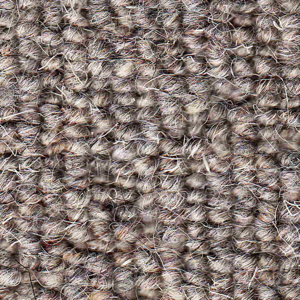 Vanguard Auckland Carpet TradeChoice Carpet & Flooring