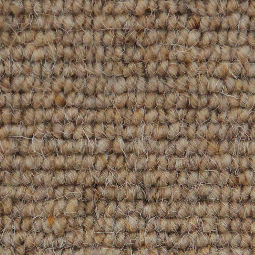 Vanguard Auckland Carpet TradeChoice Carpet & Flooring