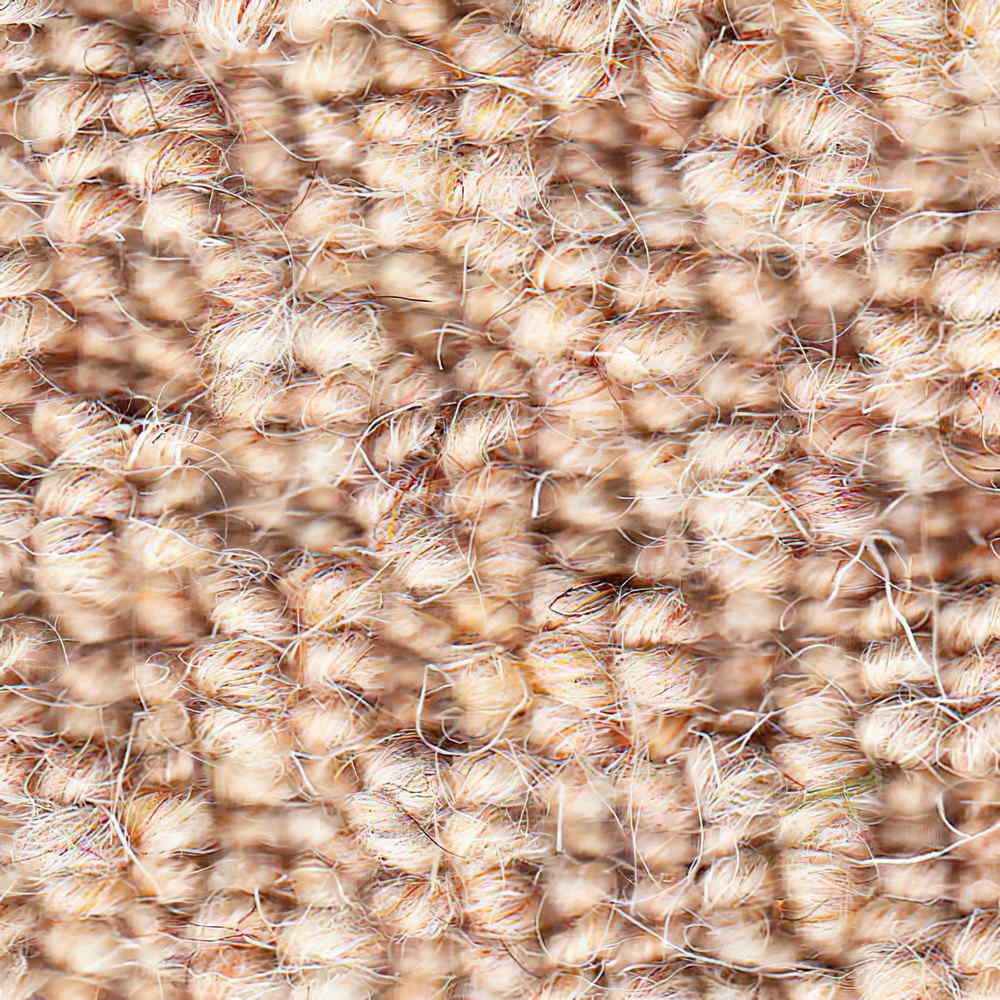 Vanguard Auckland Carpet TradeChoice Carpet & Flooring