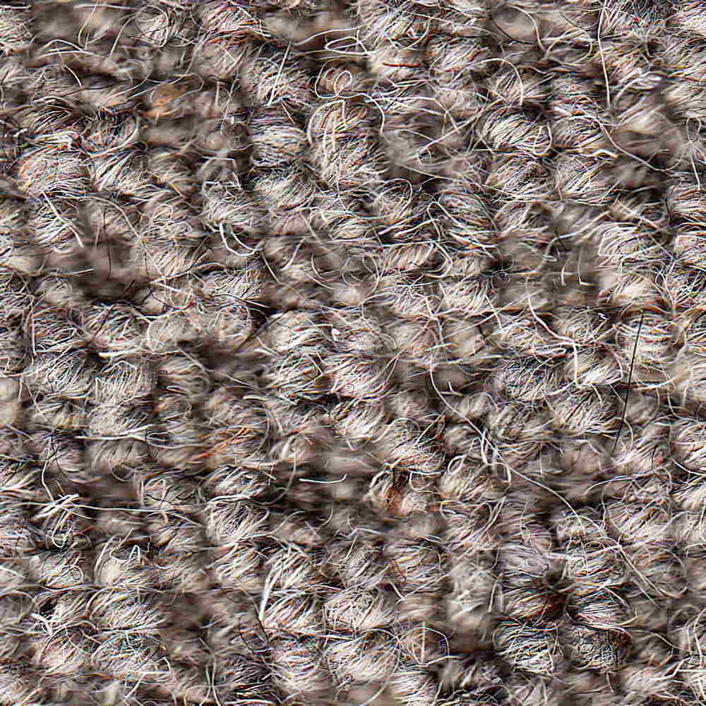 Vanguard Auckland Carpet TradeChoice Carpet & Flooring