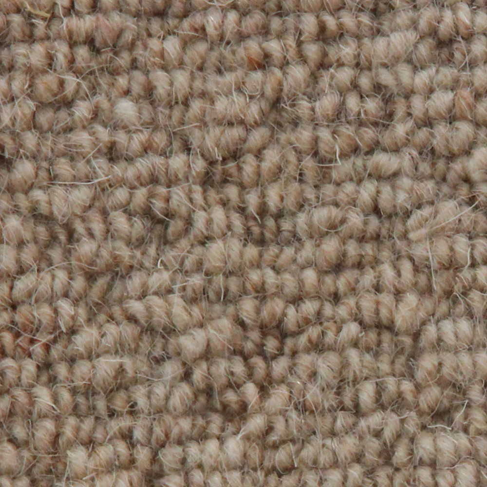 Vanguard Auckland Carpet TradeChoice Carpet & Flooring