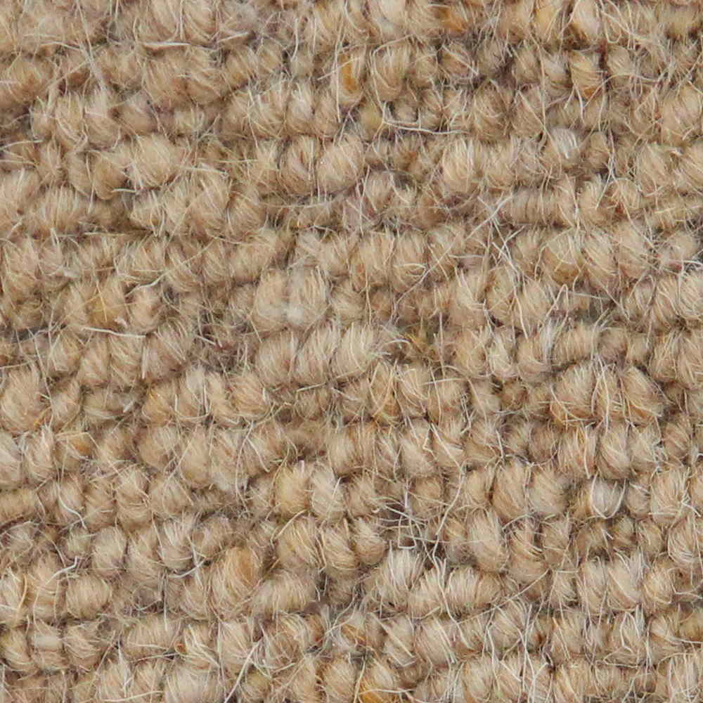 Vanguard Auckland Carpet TradeChoice Carpet & Flooring