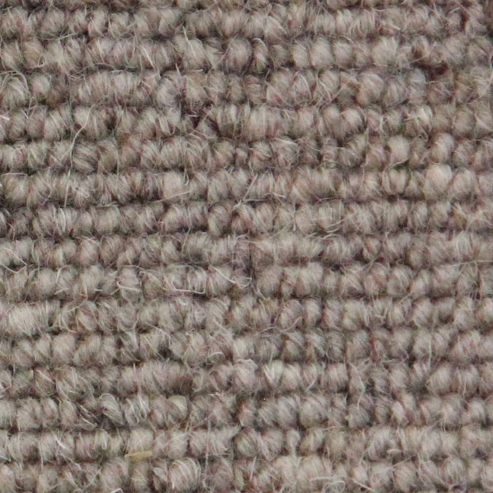 Vanguard Auckland Carpet TradeChoice Carpet & Flooring