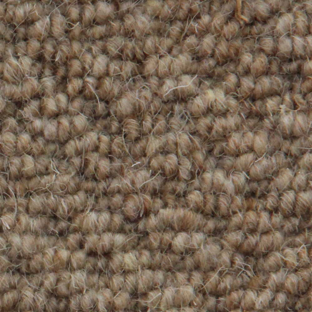 Vanguard Auckland Carpet TradeChoice Carpet & Flooring