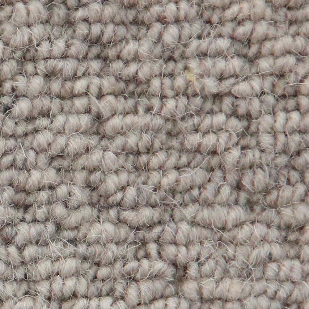 Vanguard Auckland Carpet TradeChoice Carpet & Flooring