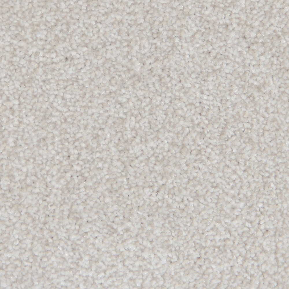Condor Carpets Sacramento Classic Carpet TradeChoice Carpet & Flooring