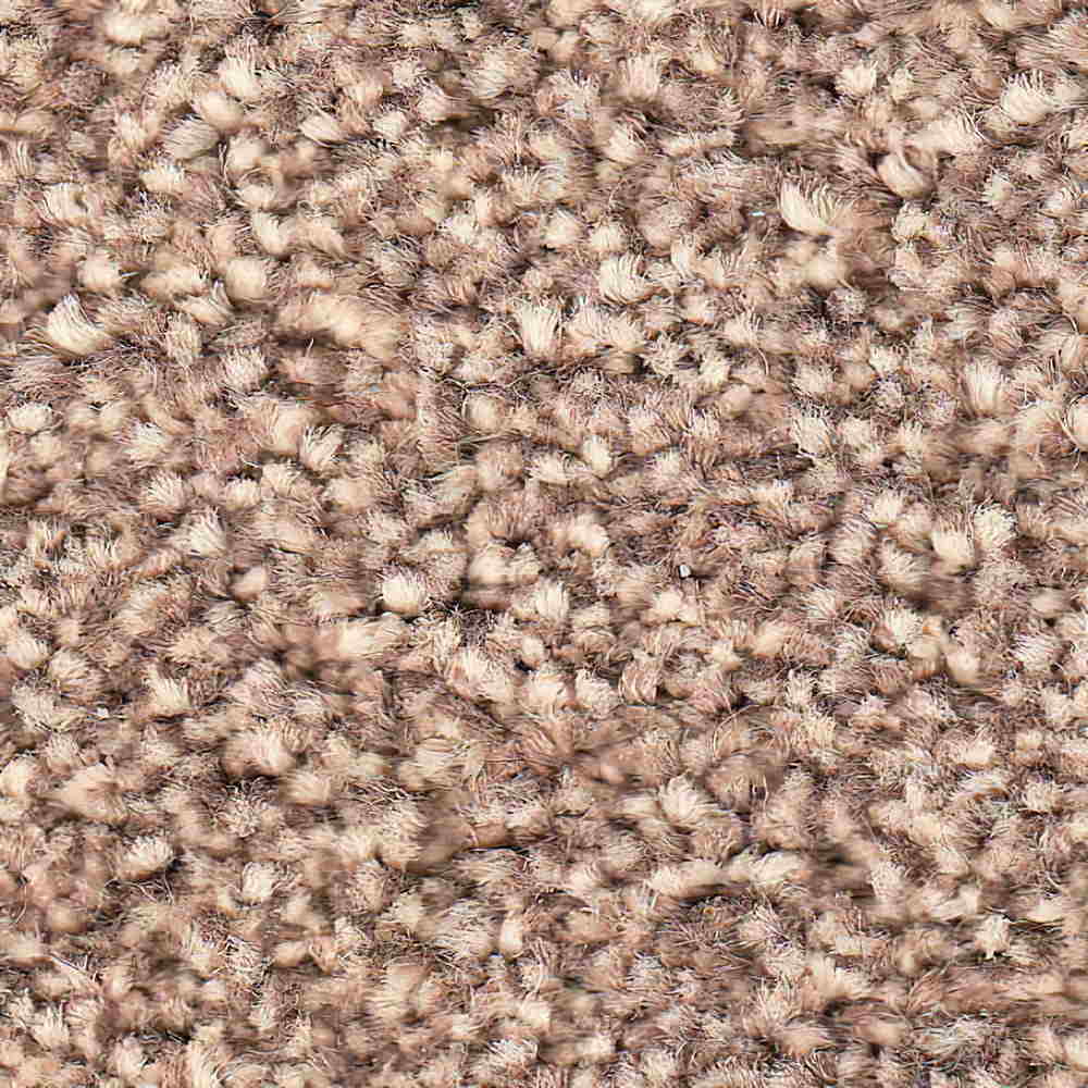 Condor Carpets Sacramento Elite Carpet TradeChoice Carpet & Flooring