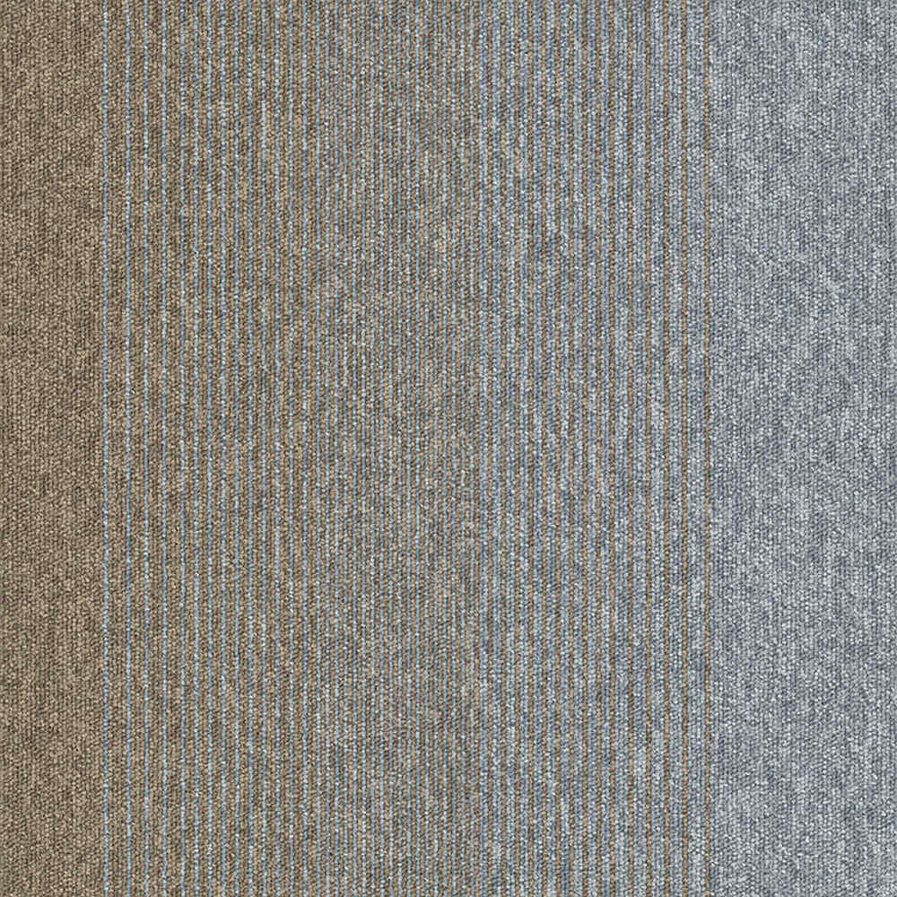 105987145353_cfs_connexion_til